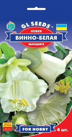 Семена Кобея Винно-белая, 4 шт., ТМ GL Seeds